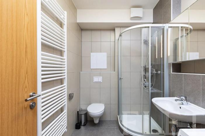 Pronájem bytu 1+kk, Praha - Žižkov, Olgy Havlové, 48 m2