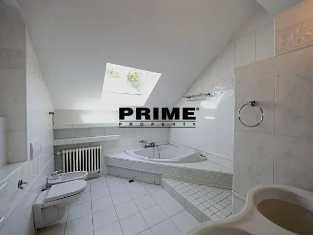 Pronájem bytu 6+kk a větší, Praha - Braník, Psohlavců, 293 m2