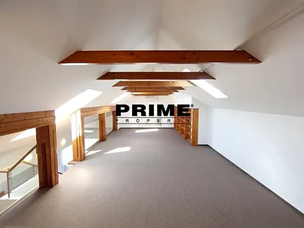 Pronájem bytu 6+kk a větší, Praha - Braník, Psohlavců, 293 m2