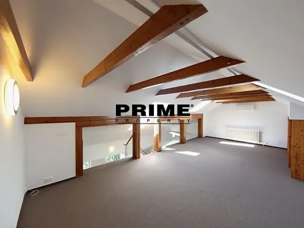 Pronájem bytu 6+kk a větší, Praha - Braník, Psohlavců, 293 m2