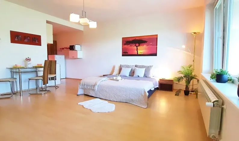 Prodej bytu 1+kk, Brno, Šemberova, 48 m2