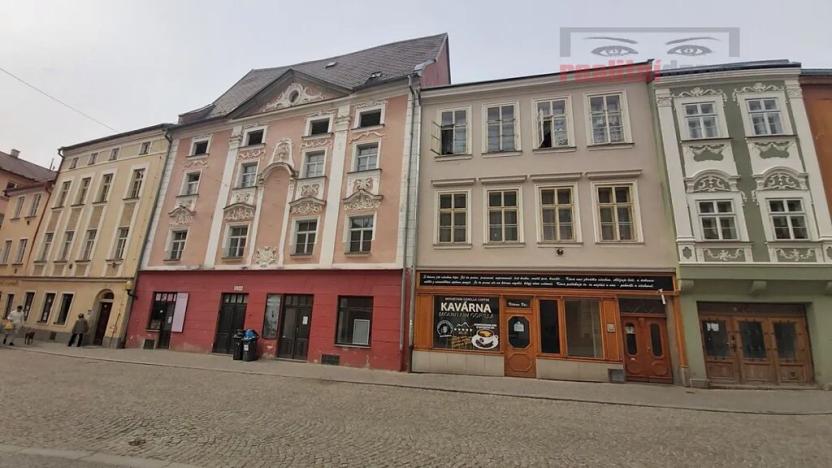 Prodej obchodního prostoru, Jihlava, Palackého, 490 m2