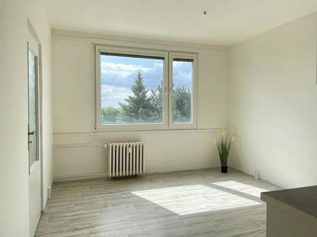 Pronájem bytu 1+1, Litvínov, Mládežnická, 38 m2