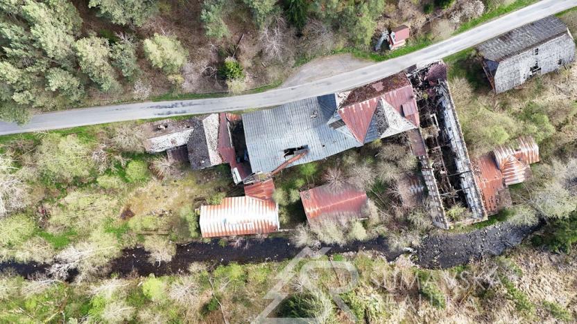 Prodej komerční, Rejštejn, 10000 m2