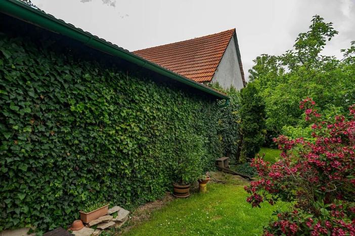 Prodej zemědělské usedlosti, Nová Sídla, 327 m2