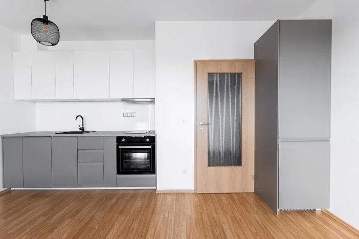 Pronájem bytu 1+kk, Praha - Michle, V dolině, 40 m2