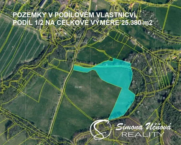 Prodej louky, Třebušín, 74552 m2