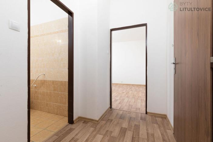 Prodej bytu 1+kk, Litultovice, 28 m2