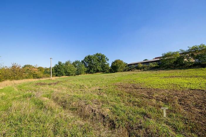 Prodej komerčního pozemku, Krhov, 2990 m2