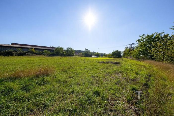 Prodej komerčního pozemku, Krhov, 2990 m2