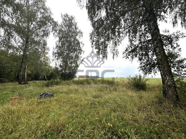 Prodej komerčního pozemku, Lučina, 2602 m2