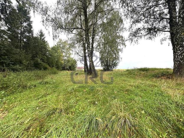 Prodej komerčního pozemku, Lučina, 2602 m2