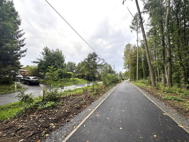 Prodej komerčního pozemku, Lučina, 2602 m2