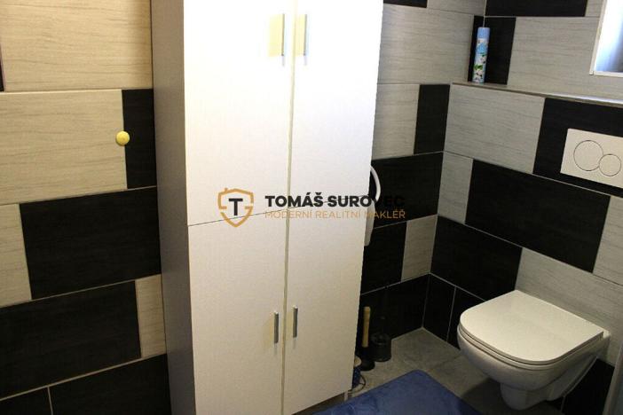 Pronájem bytu, Hvozdná, Sokolská, 21 m2