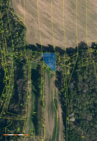 Prodej lesa, Vyskytná, 665 m2