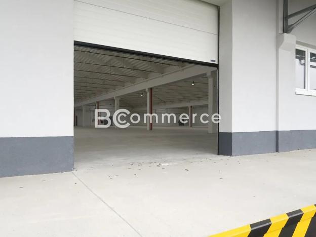 Pronájem skladu, Holubice, 1124 m2