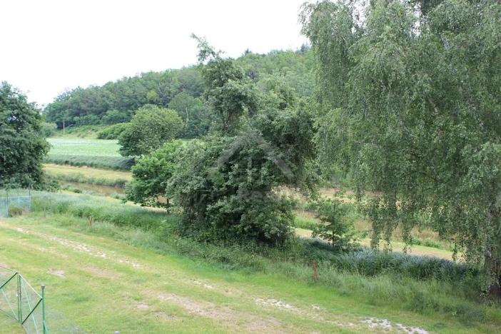 Prodej ubytování, Protivín, Chelčického, 1000 m2