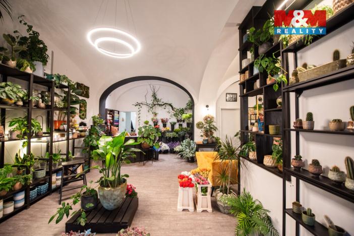 Pronájem obchodního prostoru, Pardubice - Zelené Předměstí, 17. listopadu, 96 m2