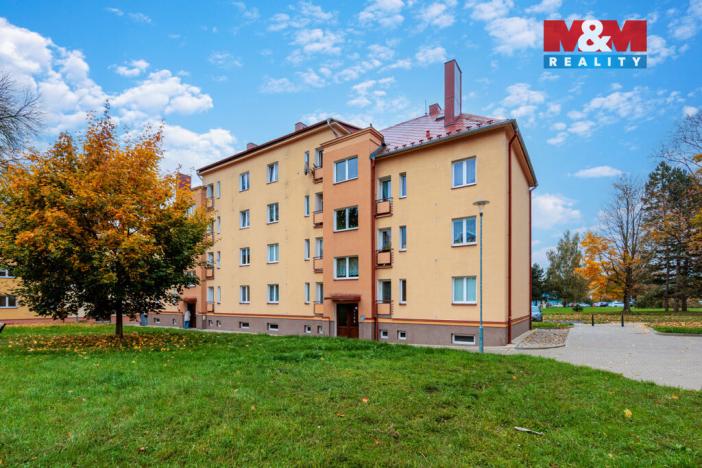 Prodej bytu 2+1, Ostrov, Jungmannova, 56 m2