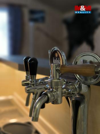 Pronájem restaurace, Orlová - Lutyně, Modřínová, 330 m2