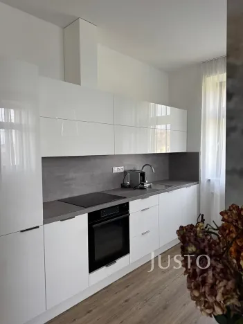 Pronájem bytu 1+1, Písek, Vladislavova, 38 m2