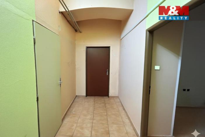 Prodej bytu 1+kk, Praha - Žižkov, Hartigova, 29 m2