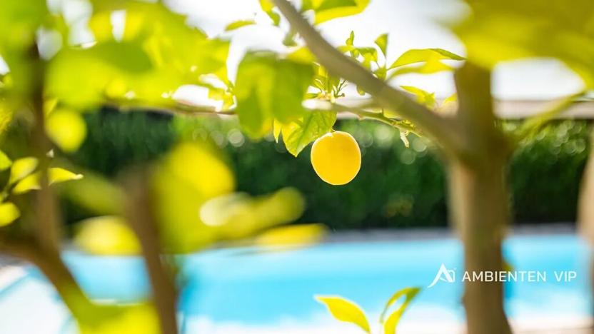 Prodej vily, Šanov, 974 m2