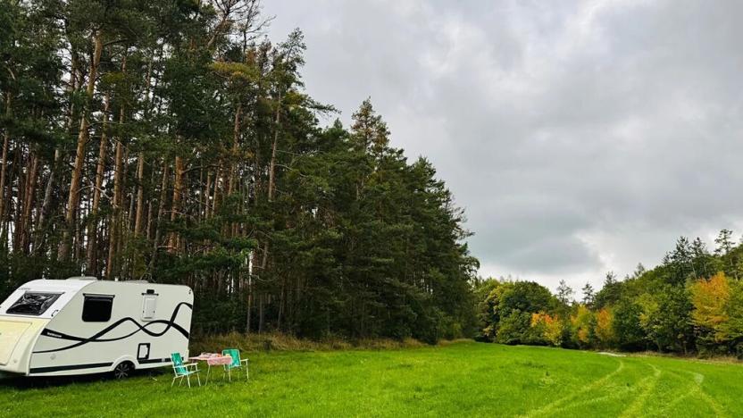 Prodej lesa, Nečín, 44533 m2