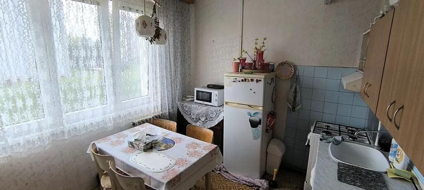 Prodej bytu 1+1, Cheb, Matěje Kopeckého, 44 m2