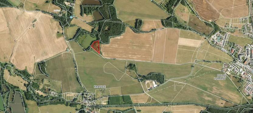 Prodej pole, Františkovy Lázně, 7083 m2