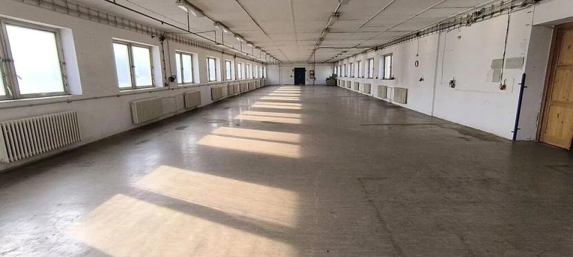 Pronájem výrobních prostor, Cheb, Žižkova, 390 m2