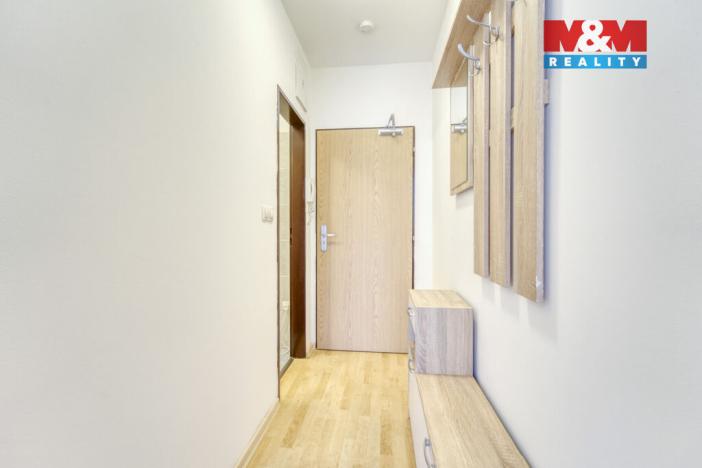 Pronájem bytu 1+1, Plzeň, Nepomucká, 23 m2