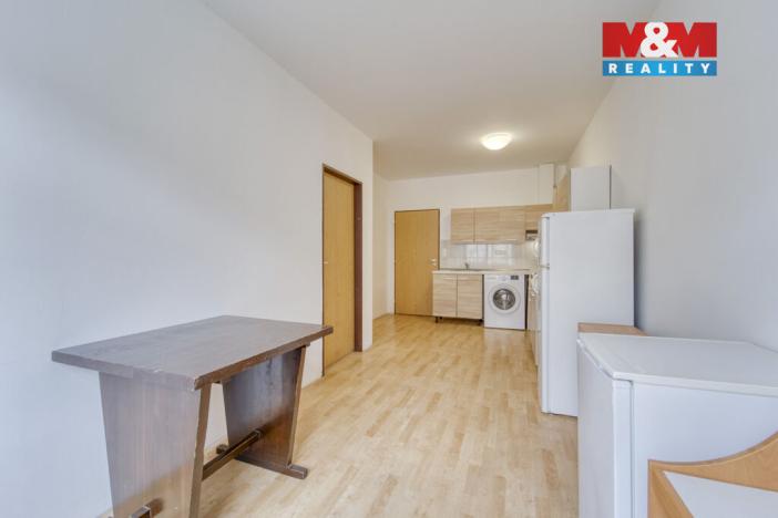 Pronájem bytu 1+1, Plzeň, Nepomucká, 23 m2