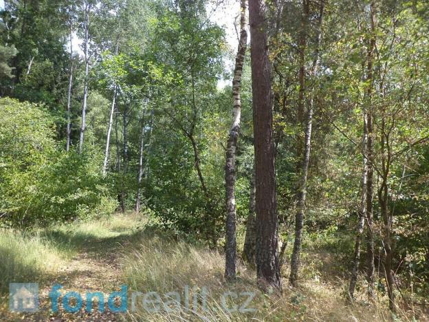 Prodej pozemku, Kaplice - Blansko, 19480 m2