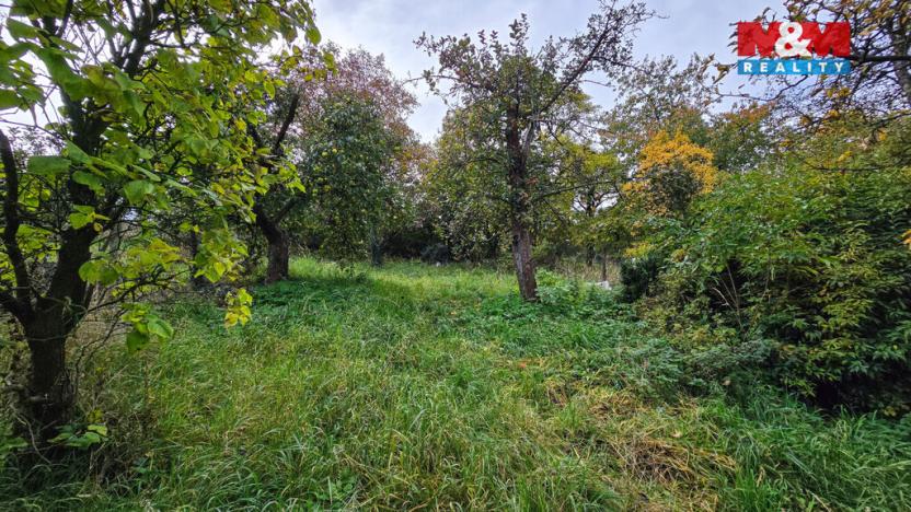 Pronájem zahrady, Mšecké Žehrovice, 535 m2