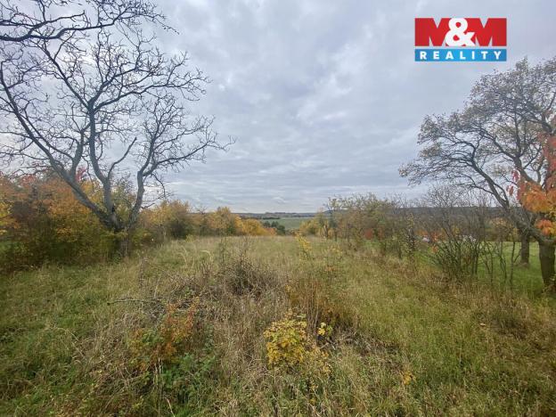 Prodej pozemku pro bydlení, Habrovany, 2229 m2