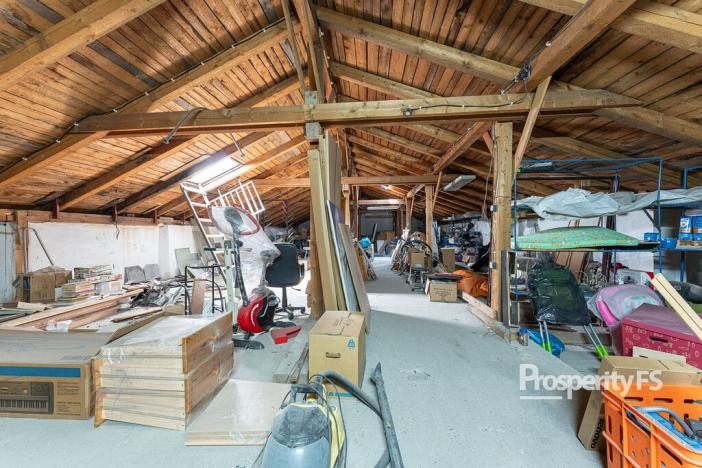 Prodej bytu 6+kk a větší, Ostrava - Mariánské Hory, 28. října, 256 m2