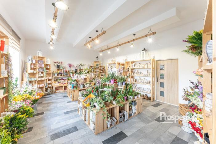 Prodej rodinného domu, Ostrava - Mariánské Hory, 28. října, 658 m2