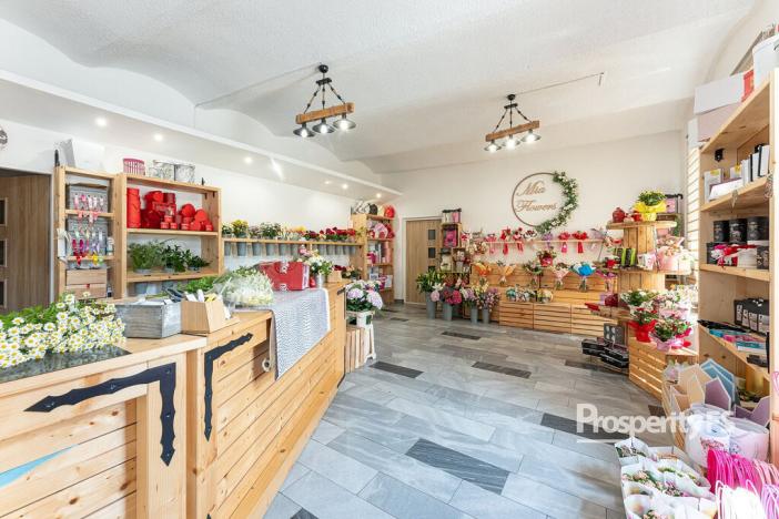 Prodej rodinného domu, Ostrava - Mariánské Hory, 28. října, 658 m2