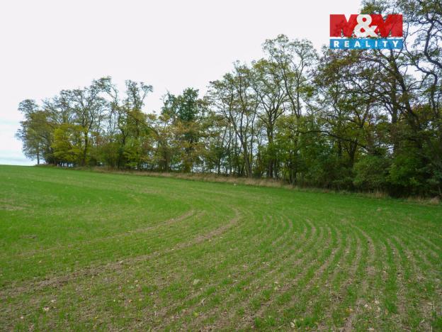 Prodej lesa, Drahobuz, 1252 m2