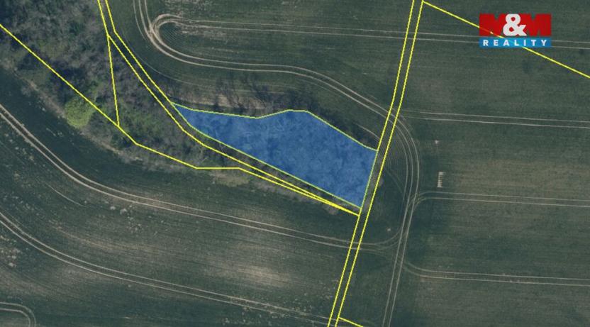 Prodej lesa, Drahobuz, 1252 m2