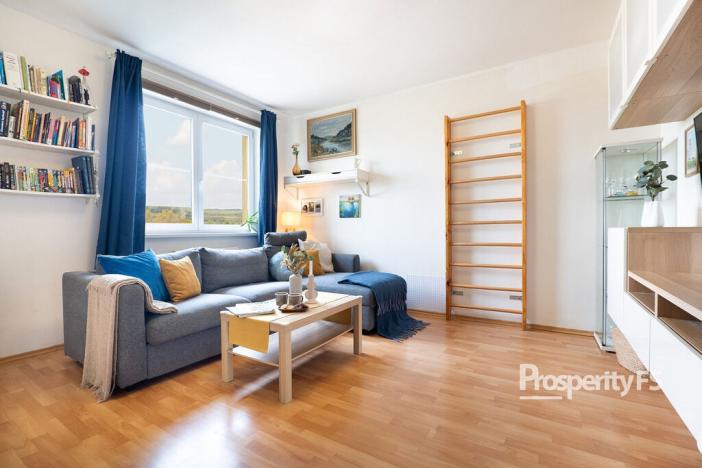 Prodej bytu 2+kk, Stochov, S. K. Neumanna, 48 m2