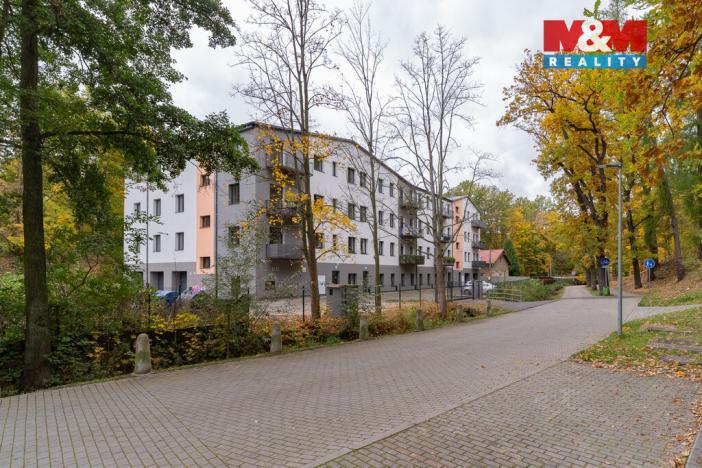 Pronájem bytu 4+kk, Cheb, Břehnická, 112 m2