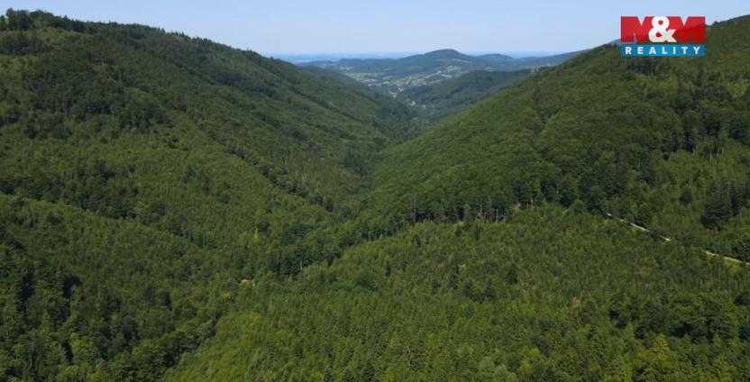 Prodej lesa, Nýdek, 207244 m2