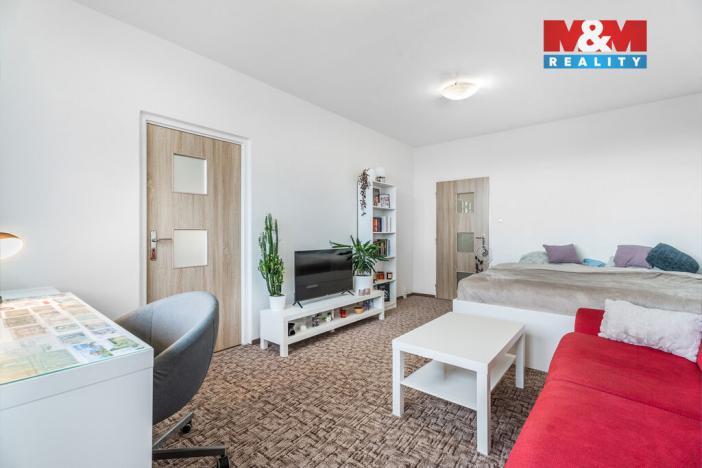 Prodej bytu 1+1, Ústí nad Labem - Ústí nad Labem-centrum, Hornická, 40 m2