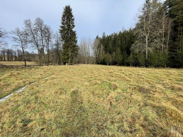 Prodej pole, Toužim - Kojšovice, 12095 m2