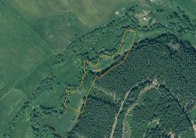 Prodej pole, Toužim - Kojšovice, 12095 m2