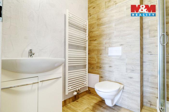 Pronájem bytu 2+kk, Janovice nad Úhlavou, Rozvojová zóna, 39 m2