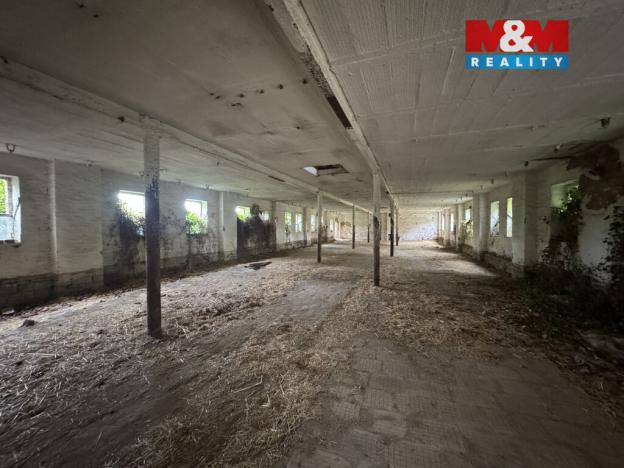 Pronájem zemědělské usedlosti, Luže - Dobrkov, 400 m2