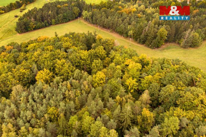 Prodej lesa, Ježovy - Trnčí, 39171 m2